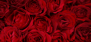 Valentines Day